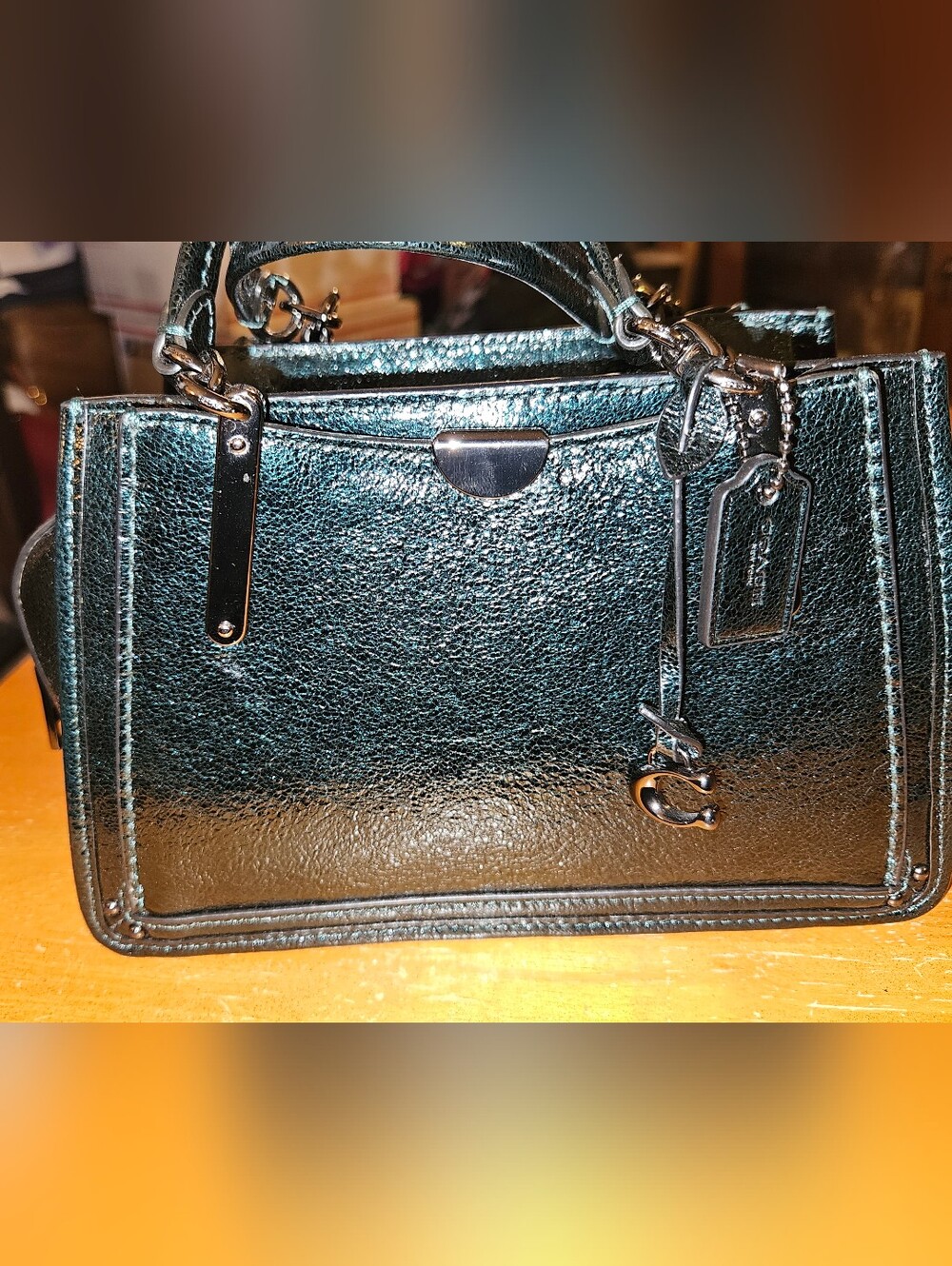 Coach 38543 Dreamer 21 In Metallic Ivy